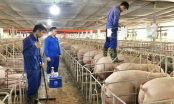 Requiring large livestock facilities to conduct greenhouse gas inventory